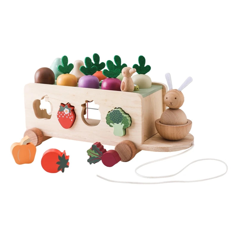 Wooden Montessori Toy 4-In-1 