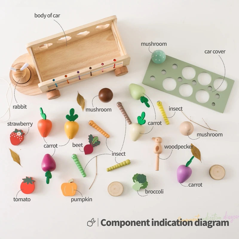 Wooden Montessori Toy 4-In-1 