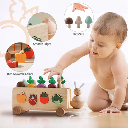 Wooden Montessori Toy 4-In-1 